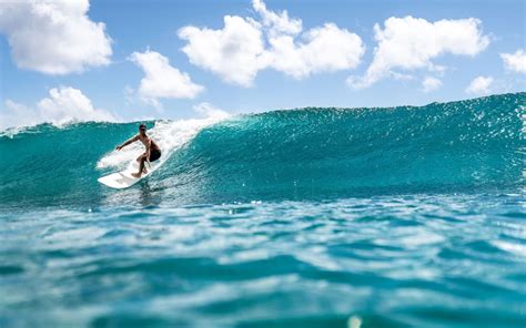 Surfing In Hawaii Honolulu Vlrengbr