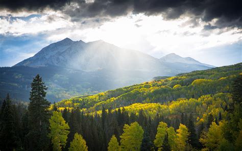 Kebler Pass Autumn Digallery