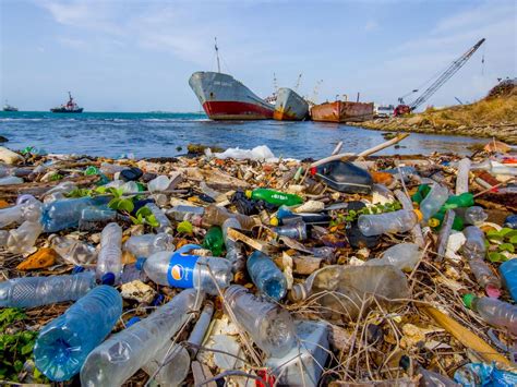 Global Plastic Waste Treaty To Tackle Environmental Crisis Is Picking
