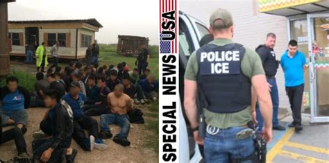 [video] Massive Illegal Immigrants Arrest By Ice Agents They Didn’t Expect What Happened Next