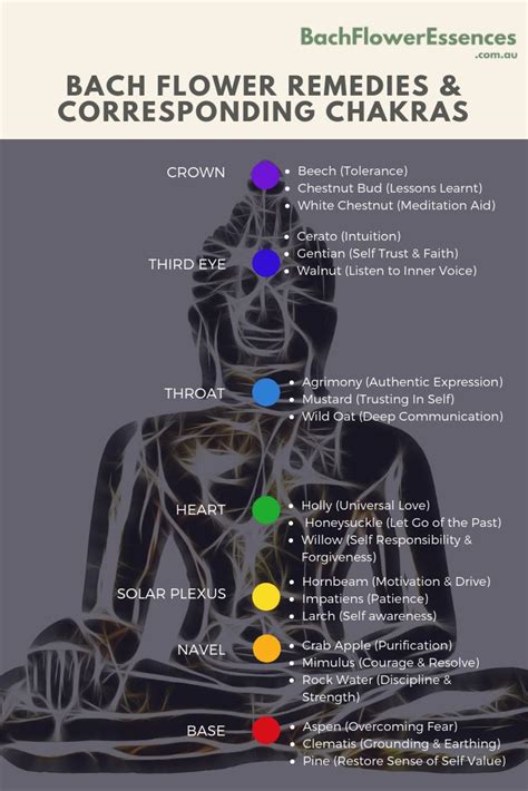 These remedies or cds, or any other remedies that have been recommended, are not a substitute to proper medical care or medicines. Pin on My clinic