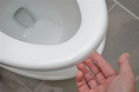 The Case Against Always Leaving The Toilet Seat Down Vox