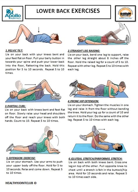 Coccydynia Exercises Pdf