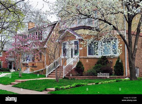 Neatly Maintained Homes In Early Spring In Chicagos Edison Park