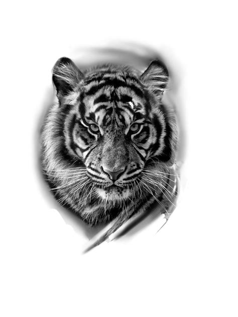 Tiger Face Tattoo Big Cat Tattoo Tiger Tattoo Sleeve Tiger Tattoo
