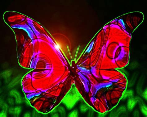 Fantasy Butterfly Wallpapers Wallpaper Cave