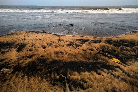 Goa Beach Goers Cautioned Against Walking Barefoot As Tar Balls