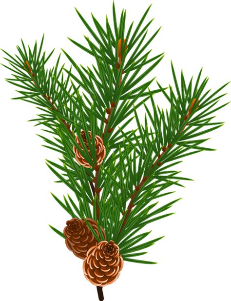 33 images of christmas tree icon. Branch Floral Green · Free vector graphic on Pixabay