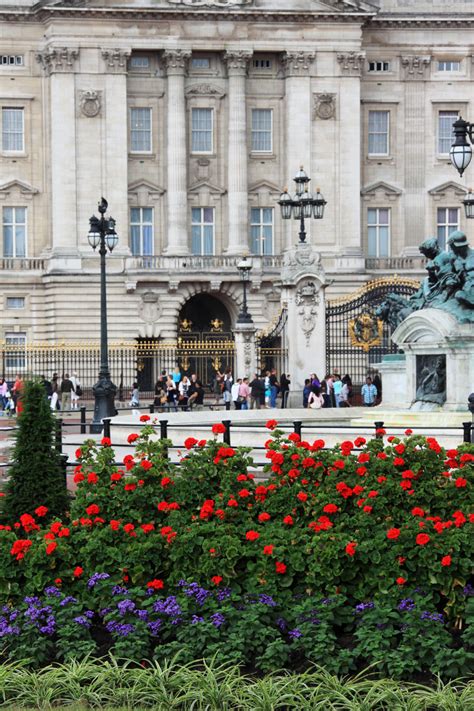 Buckingham Palace And Flowers Free Stock Photo Public Domain Pictures