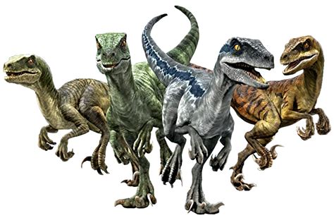 Jurassic World Camp Cretaceous Raptors Render 1 By Tsilvadino On Deviantart
