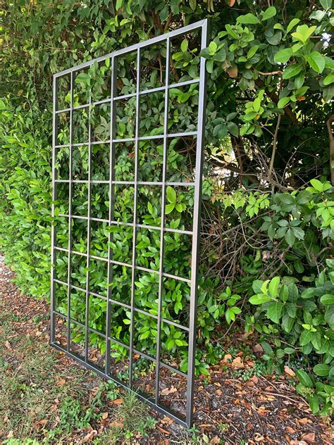 Transform Your Outdoor Space With A Metal Wall Trellis Home Wall Ideas