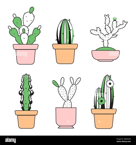 Vector Hand Drawn Outline Cactus In Pots With Color Elements