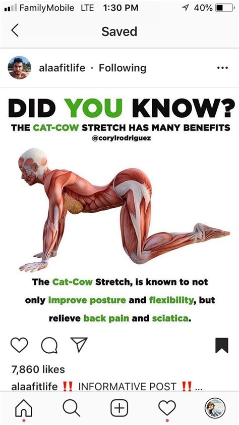 Scoliosis Exercises Stretching Exercises Yoga Stretches Yoga