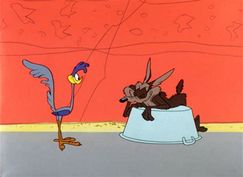The Delbert Cartoon Report History Of Classic Looney Tunes Tv Package