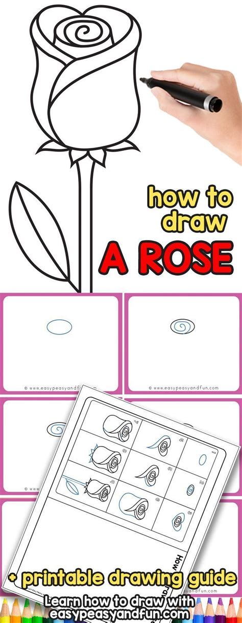 Check the new classic lessons category often. How to Draw a Rose - Easy Step by Step For Beginners and ...