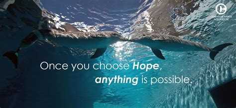 Interview with jeff mitchell, www.phoenixfilmfestival.com. Once you choose HOPE anything is possible | Dolphin tale ...