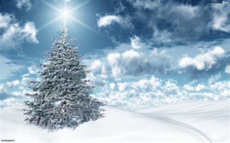 Background Snowy Christmas Trees Christmas Wallpaper Largest