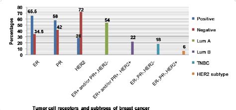 The Proportion Of Breast Cancer Receptors And Subtypes ER Estrogen