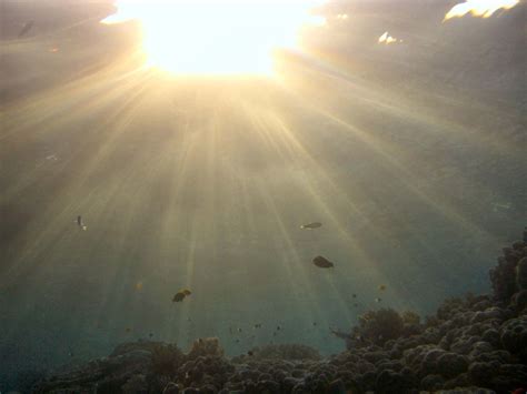 CIMG3988 Rays of Sunlight Over Reef | Tim Sheerman-Chase | Flickr