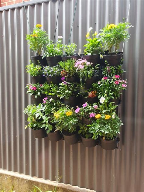 Maze Vertical Garden Wall Planter Kit 25 Pots 78cm X 80cm