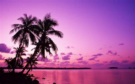 Purple Sunset Beach Purple Bonito Sunset Hd Wallpaper Peakpx