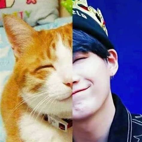 Yoongi cat | bts drawings, fan art, bts fanart. Is it true that every Yoongi picture has a similar cat ...
