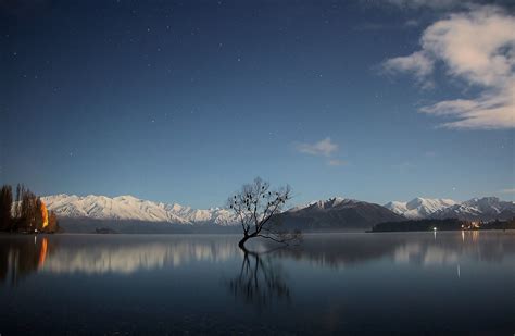 Lake Wanaka ‪‎thatwanakatree‬ At 11pm Under The Light Of The Perigee