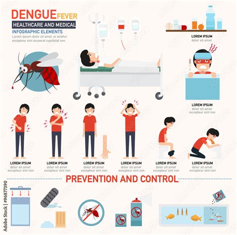 Dengue Fever Infographics Stock Vector Adobe Stock
