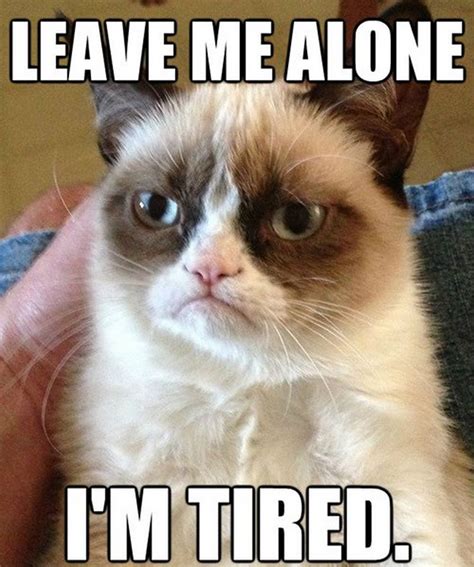 Best Exhausted Memes Tired People Will Instantly Relate To