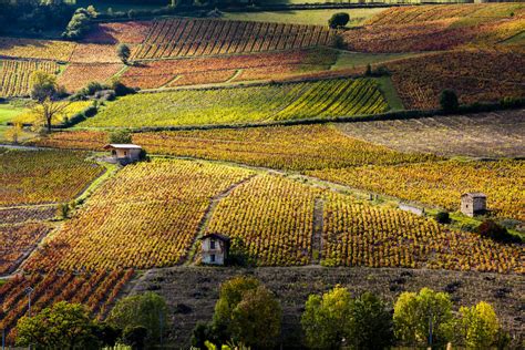 Essential Winemakers Of France Wine Buyers Guide Opening A Bottle