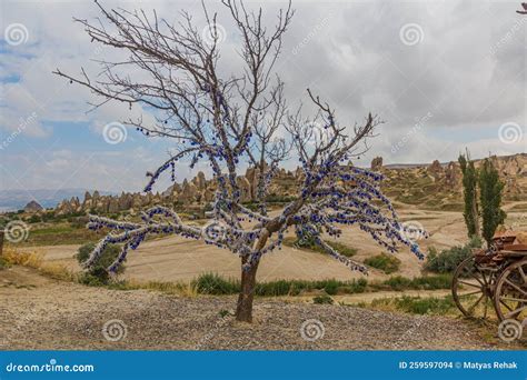 Evil Eye Amulets On A Tree Near Goreme Town In Cappadocia Turk Stock