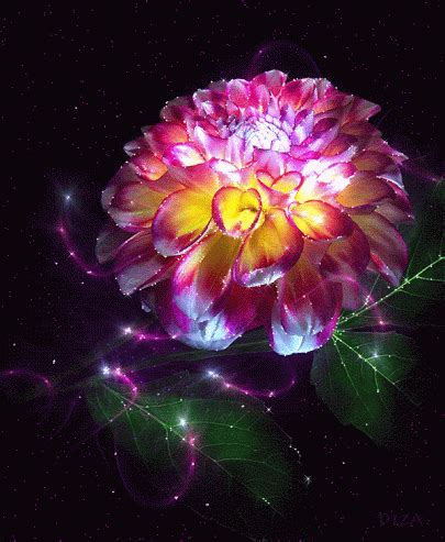 Bright flower in the background of a gloomy world. Flower Gifs Images - Best Animations