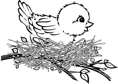 Sure, we keep them as pets. Cartoon Birds Nest - Coloring Home