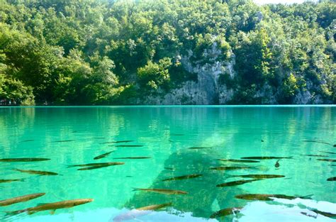 Parque Nacional Plitvice Lakes ¿el Mejor Destino De Toda Croacia