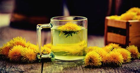 Best Teas And Tips For Fluid Retention It S Never Not Teatime