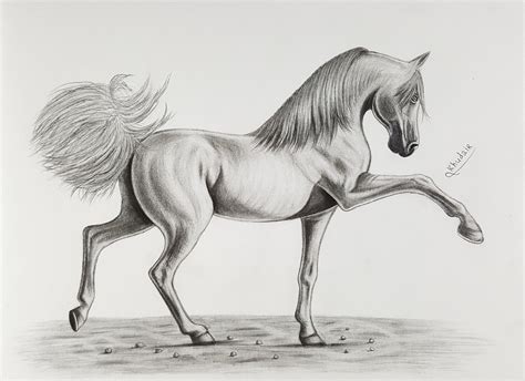 How To Draw A Horse With Pencil At Drawing Tutorials