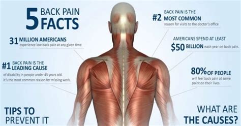 Back Pain Facts Santa Barbara Deep Tissue Riktr Pro Massage Nicola Lmt