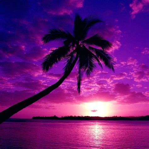 Sky Andratanasescu Purple Sunset Purple Sky Beautiful Nature