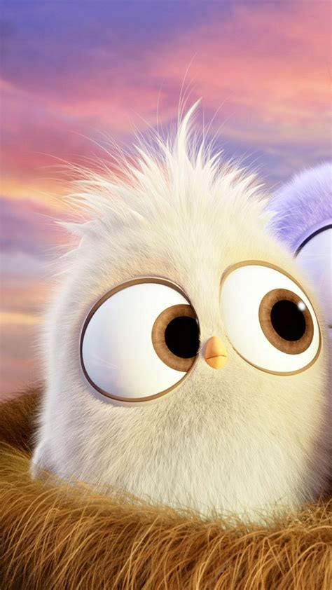 Cute Animated Bird Wallpapers