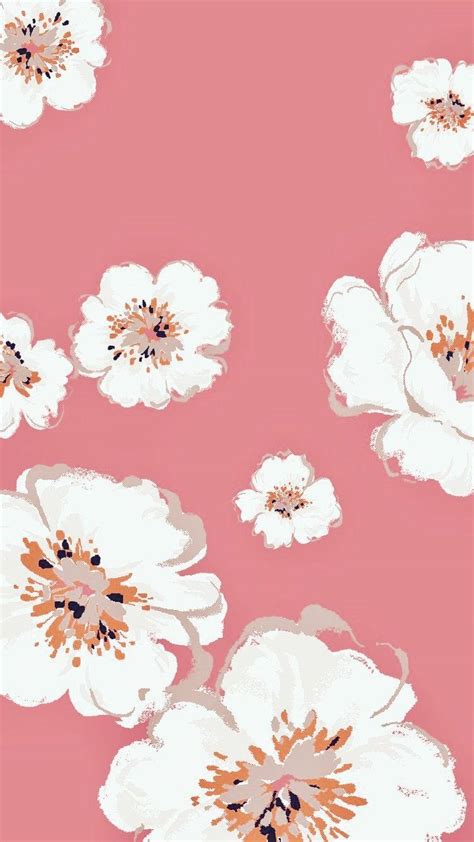 Download Pretty Background Iphone White Flowers Wallpaper