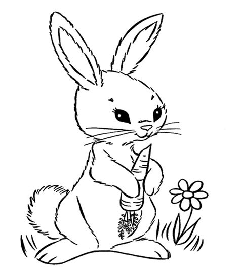 Christmas coloring pages for adults easy. rabbit eating carrot coloring page