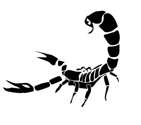Portable Network Graphics Scorpion Clip Art Transparency Scorpion