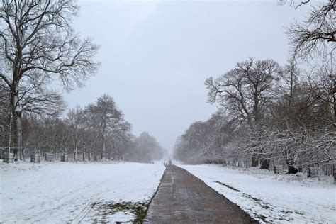 Web 1500 Knole Park In Snow Feb 7 2021 Dsc0350 Kent Walks Near London