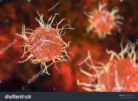 Dendritic Cell Antigen Presenting Immune Cell 3d Stock Illustration