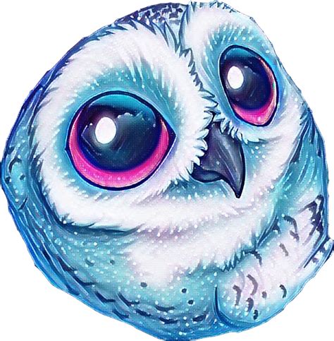 Owl Freetoedit Scowls Owls Owl Sticker By Lanaart
