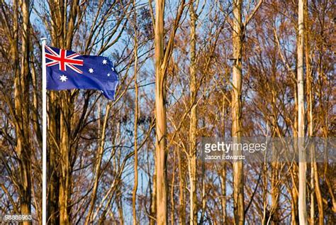 Southern Cross Flag Photos And Premium High Res Pictures Getty Images