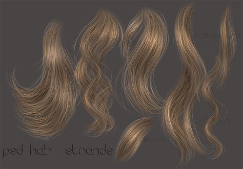 Hair Photoshop Psd Joy Studio Design Gallery Best Design