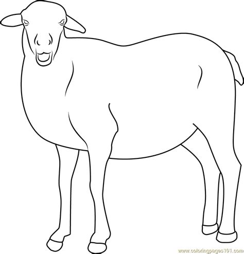 Smiling Sheep Coloring Page For Kids Free Sheep Printable Coloring