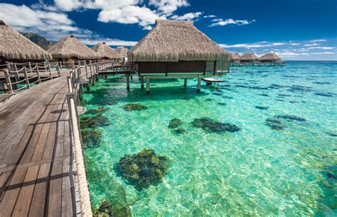 Experience The Breathtaking Beauty Of Moorea On The Islands Of Tahiti