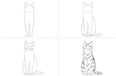 Katze Zeichnen Lernen 5 Schritt Anleitung Für Schöne Katzen